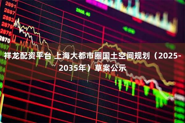 祥龙配资平台 上海大都市圈国土空间规划（2025-2035年）草案公示