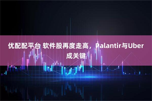 优配配平台 软件股再度走高，Palantir与Uber成关键